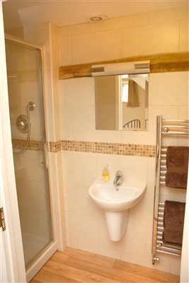 Ensuite shower Ensuite shower